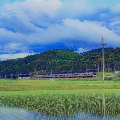 田植え後の水田と鉄道の写真