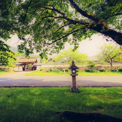 石灯籠越しの門と塀の写真