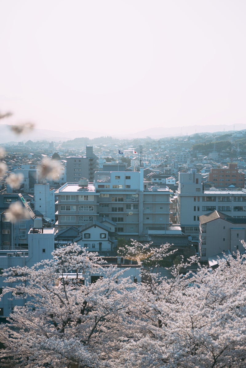 「津山城から見下ろす津山市街」の写真