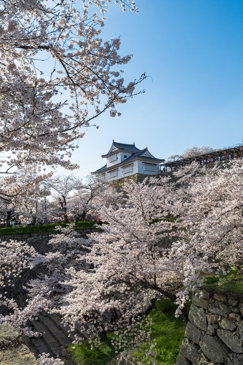 「津山城跡備中櫓の春風景」の写真