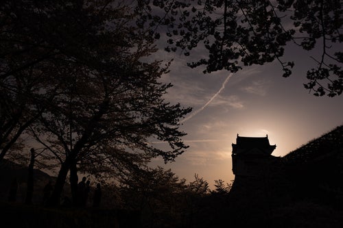 夕暮れ時の津山城跡備中櫓と桜のシルエットの写真