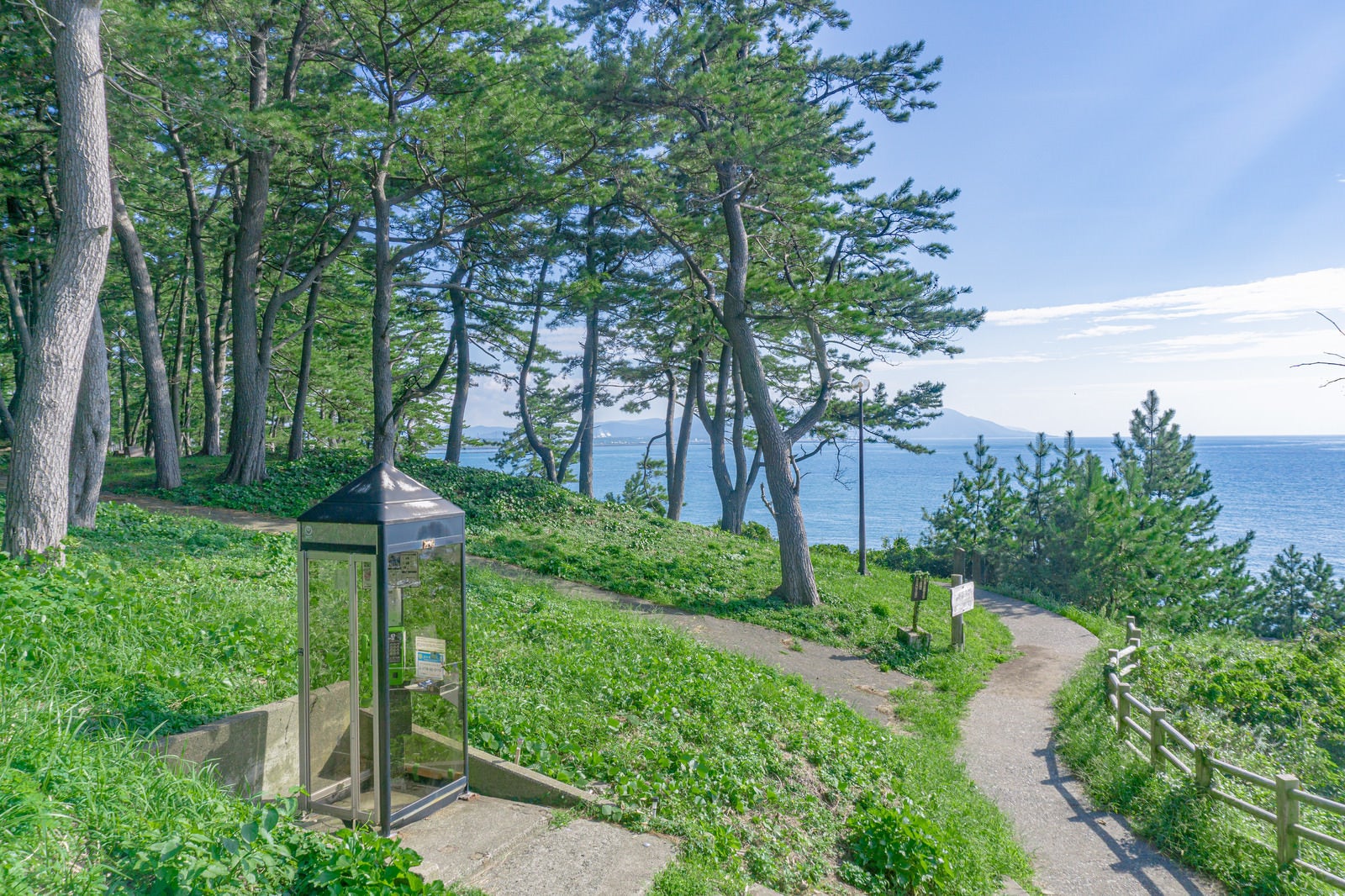 「荒磯遊歩道（東尋坊）の脇に建つ電話ボックスと松林と日本海」の写真