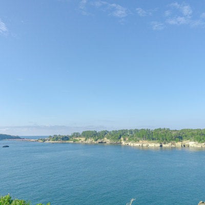 東尋坊北側から雄島まで続く松林と海食崖と海食洞の写真