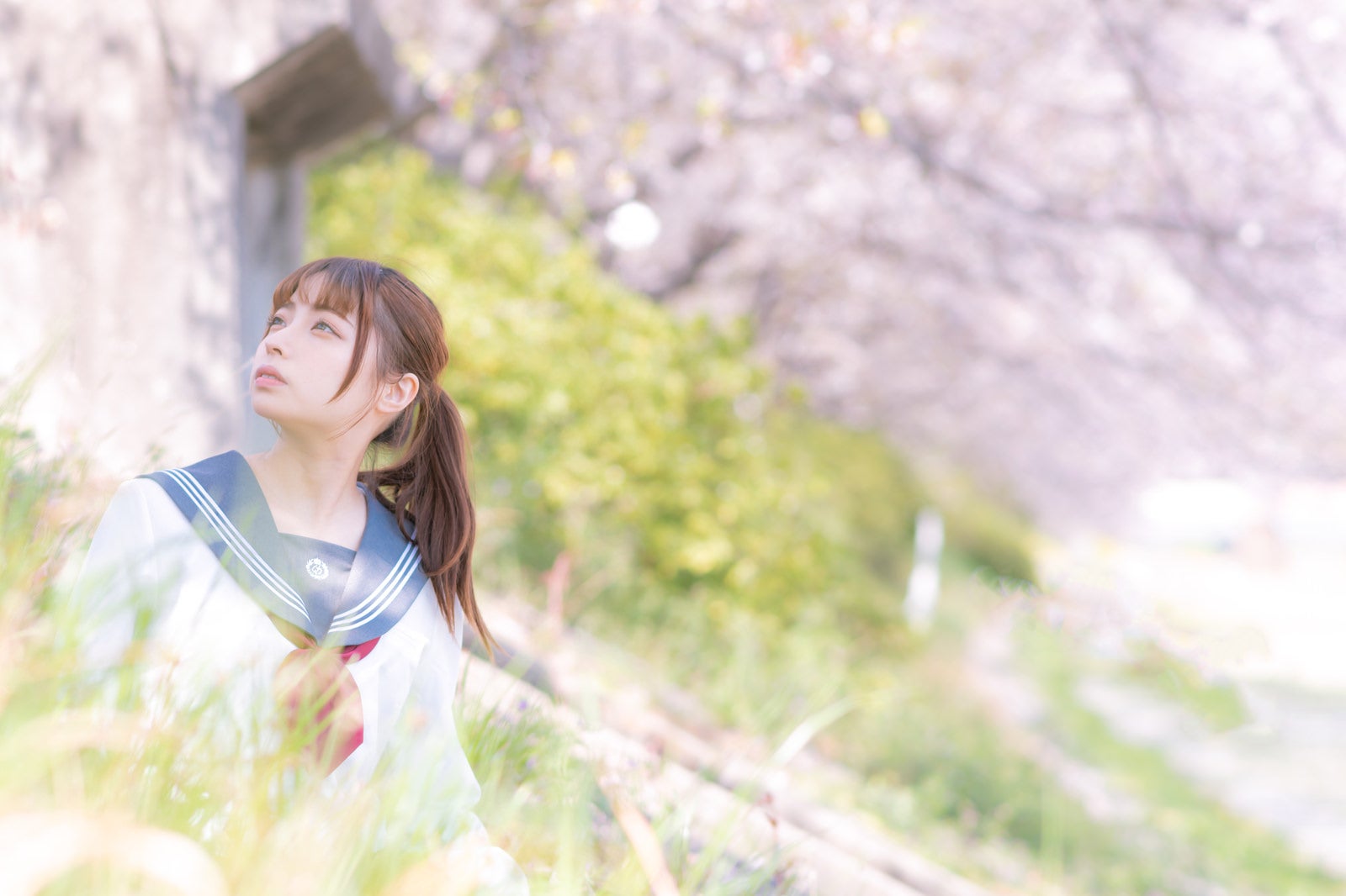 「春爛漫。桜を満喫する女子高生」の写真［モデル：高尾実生］