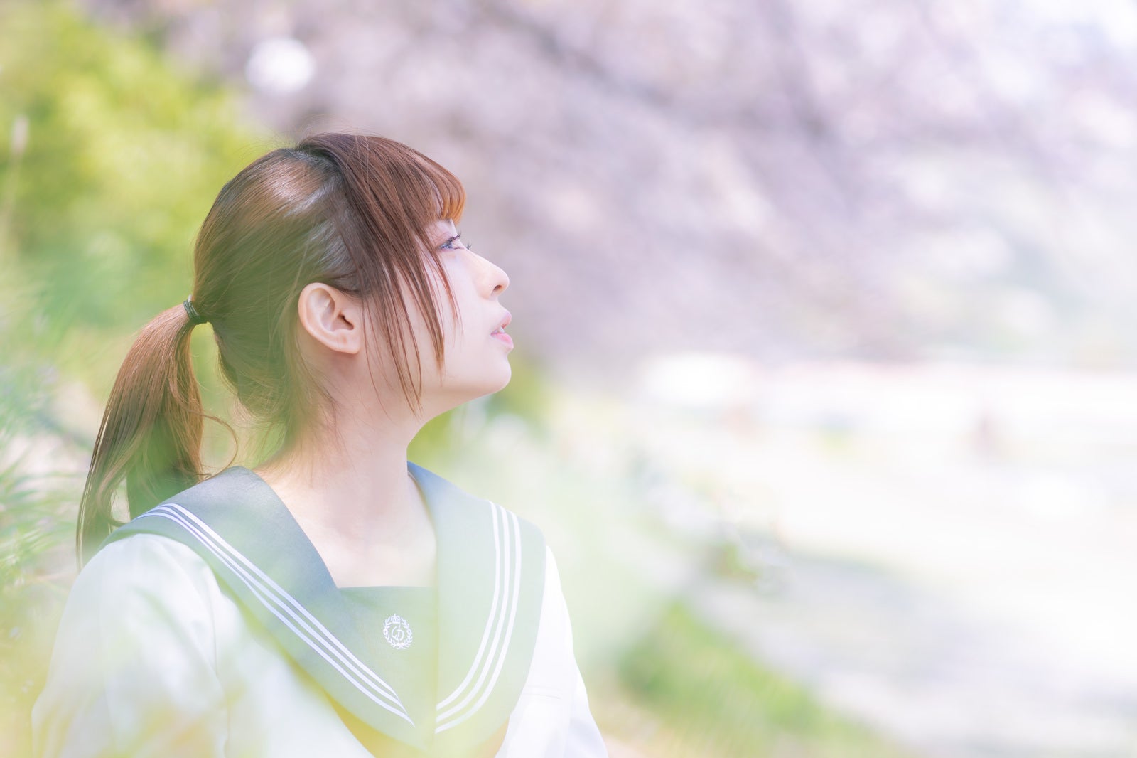 「満開の桜に包まれる女子高生」の写真［モデル：高尾実生］