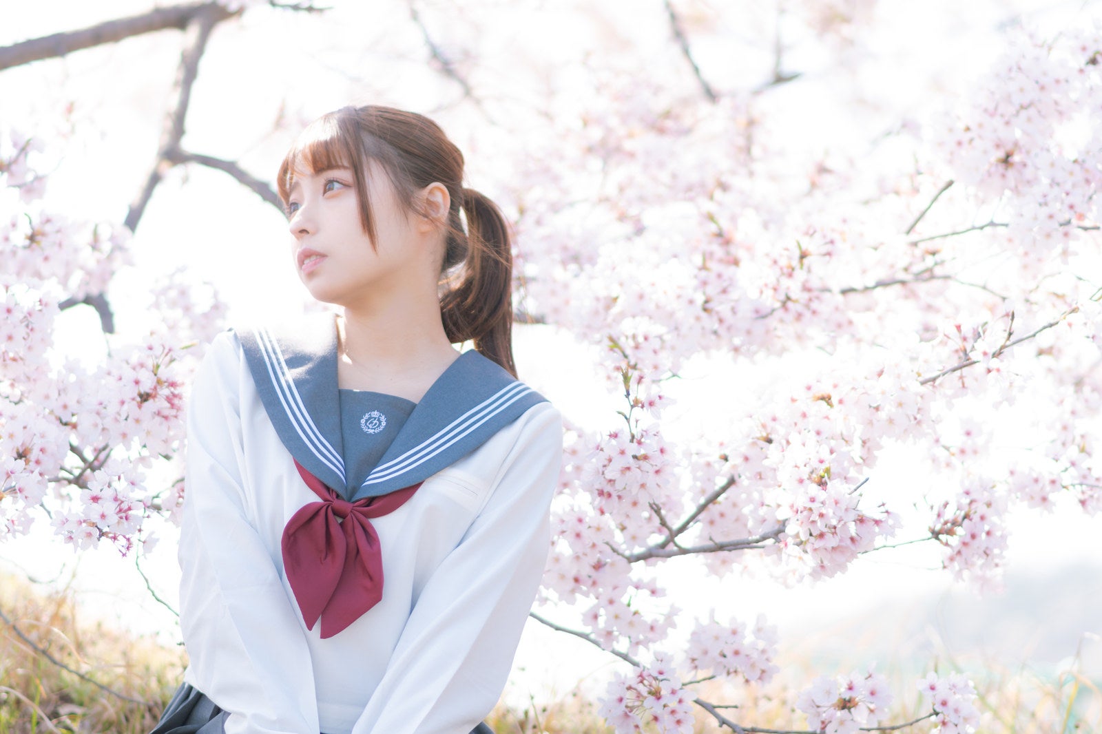 「桜満開と女子校生」の写真［モデル：高尾実生］