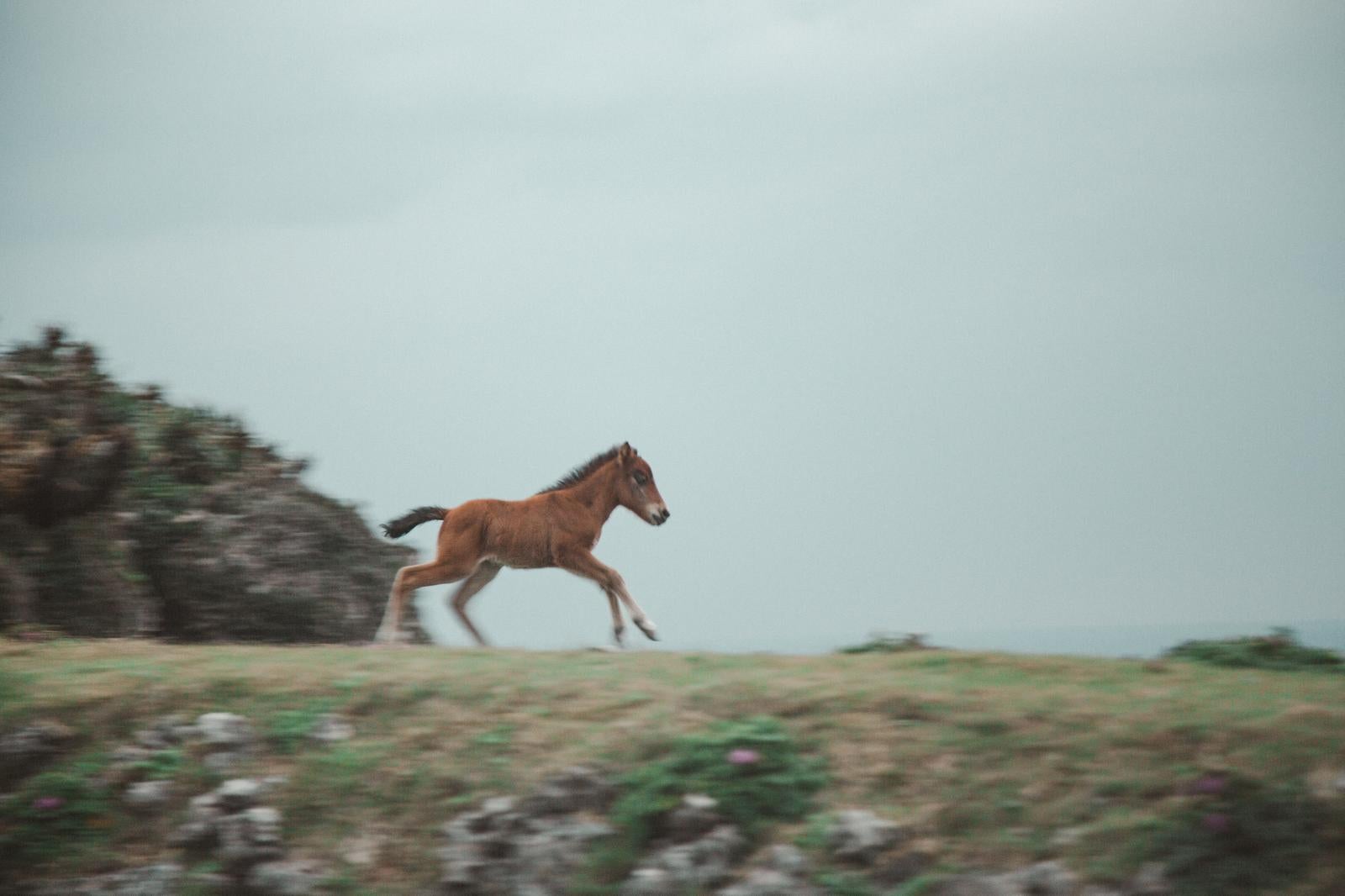 「そのまま高速に入った」の写真