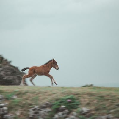 そのまま高速に入ったの写真