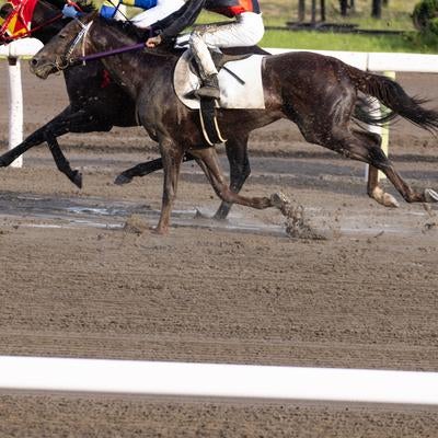 ダートコースを駆け抜ける競馬レースの写真