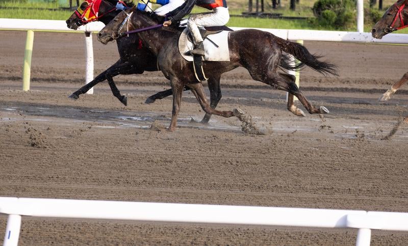 ダートコースを駆け抜ける競馬レースの写真