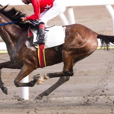 土煙を上げて駆け抜ける競馬の写真