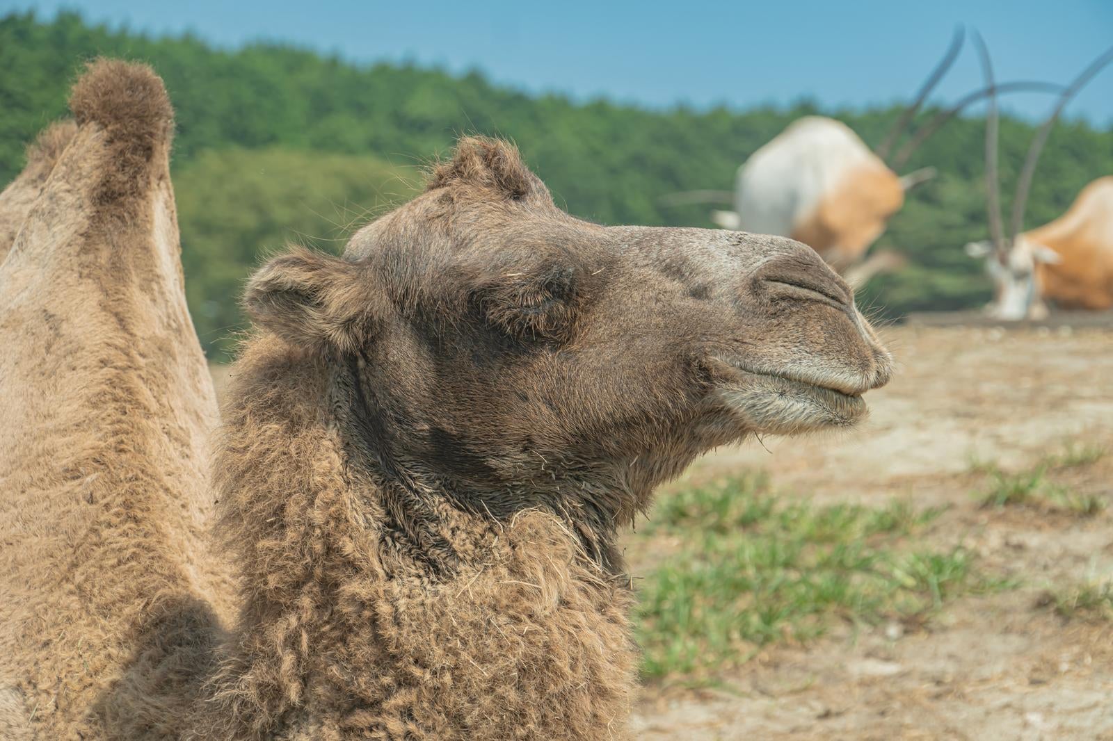 「昨日のアレ気持ちよかったです」の写真