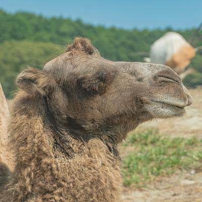 昨日のアレ気持ちよかったですの写真
