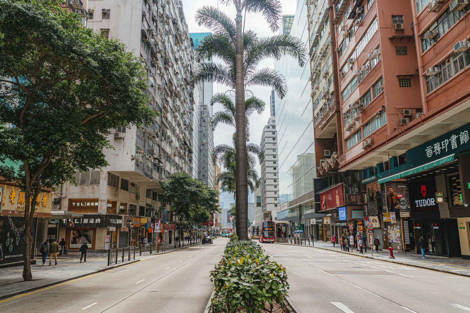「香港と言えば尖沙咀から旺角まで繋がっているネイザンロード」の写真