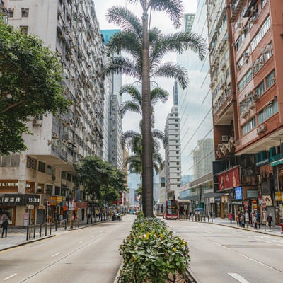 香港と言えば尖沙咀から旺角まで繋がっているネイザンロードの写真