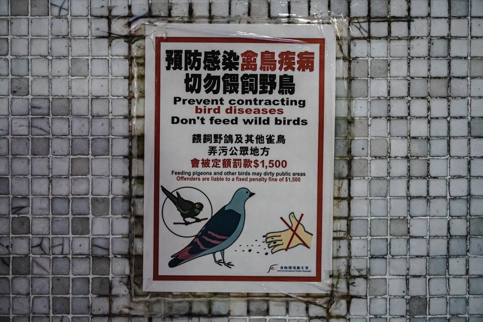 「鳩に餌をあげてたら罰金1500香港ドル」の写真