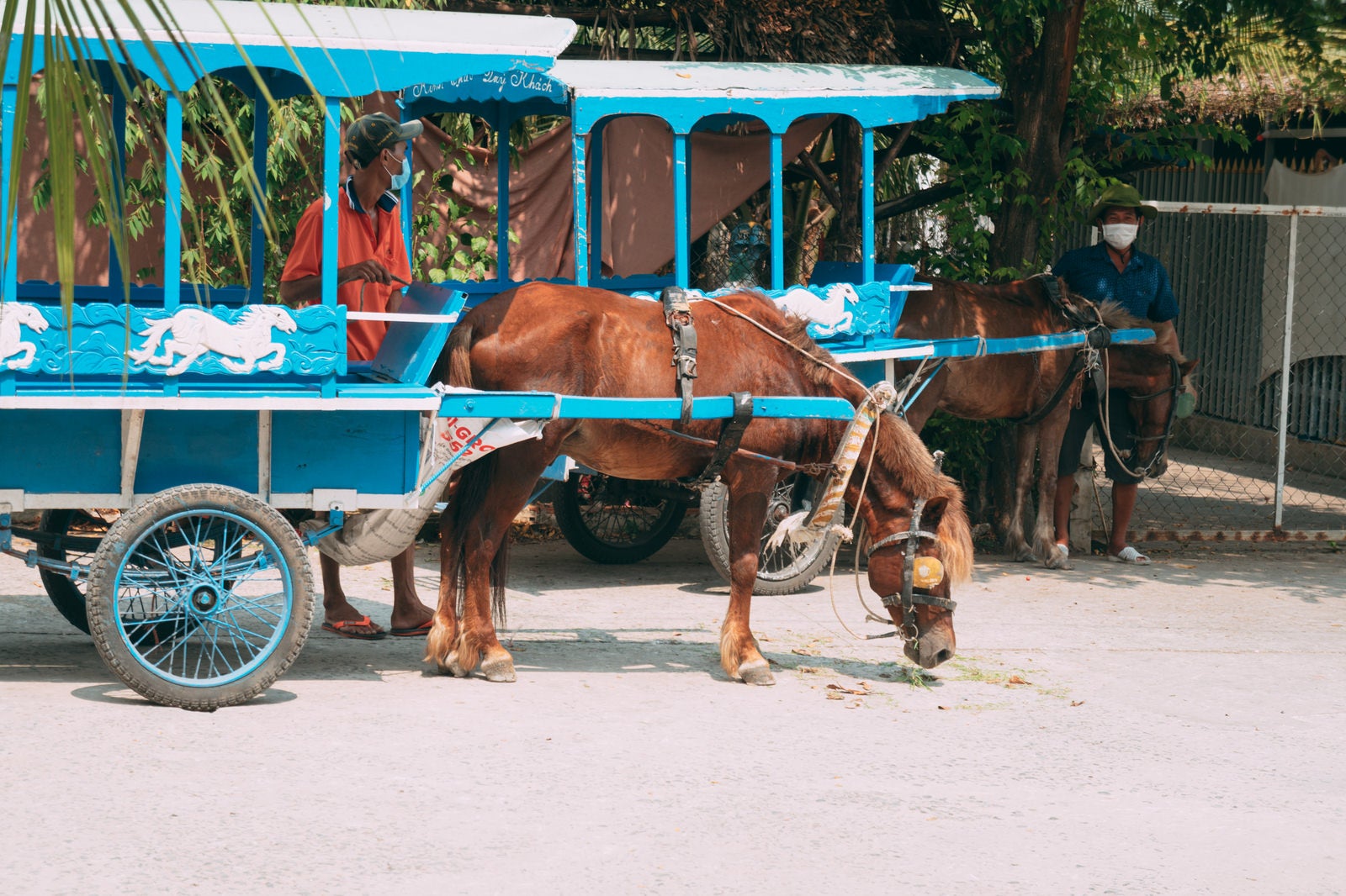 「ベトナムの馬車観光」の写真