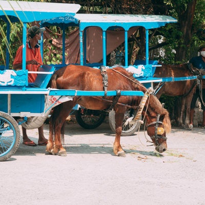 ベトナムの馬車観光の写真
