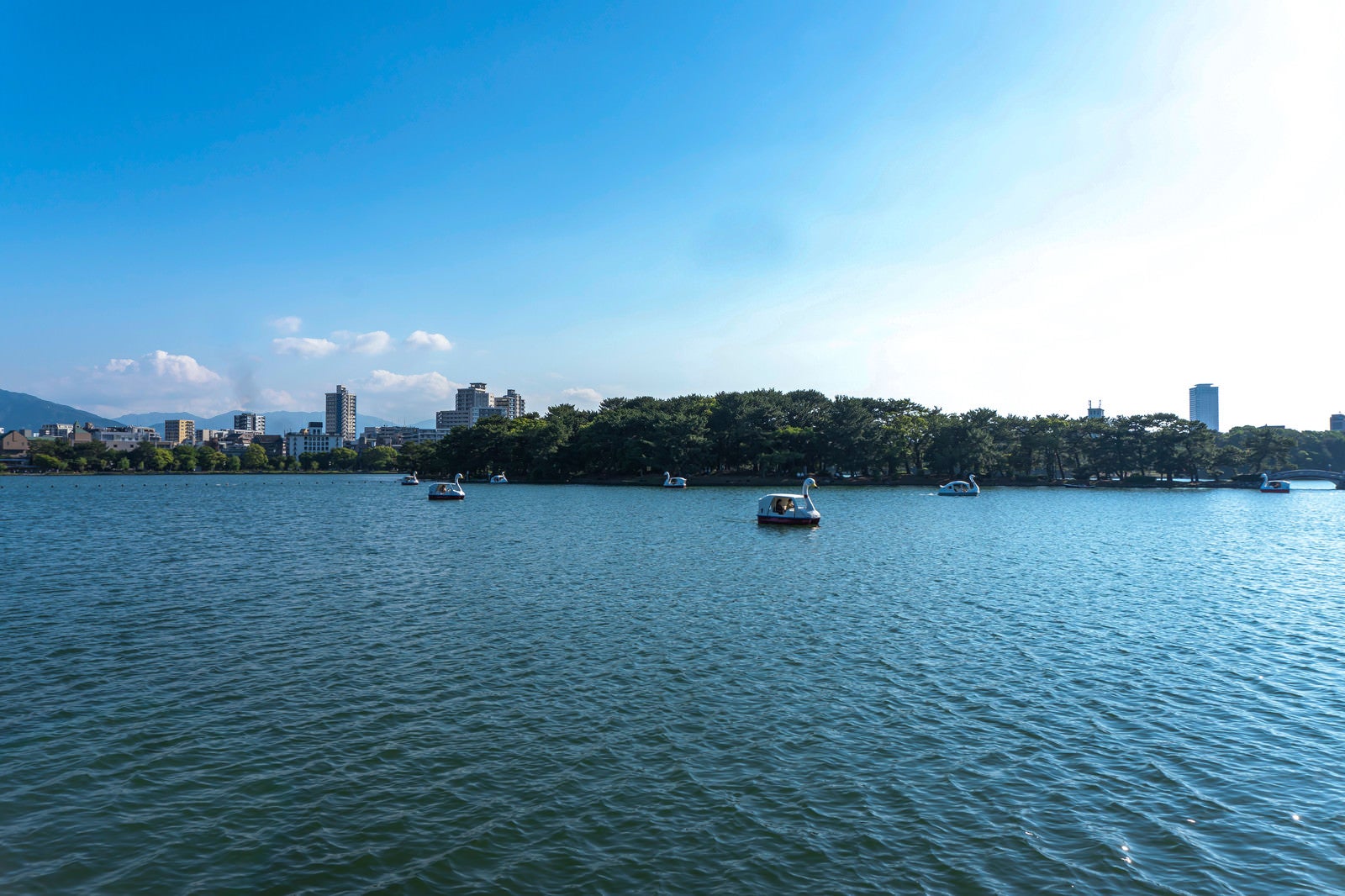 「福岡にある大濠公園の湖とスワンボート」の写真
