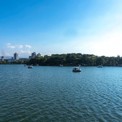 福岡にある大濠公園の湖とスワンボートの写真