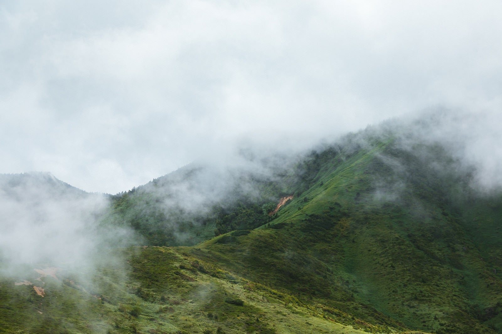 「靄がたちこめる山」の写真