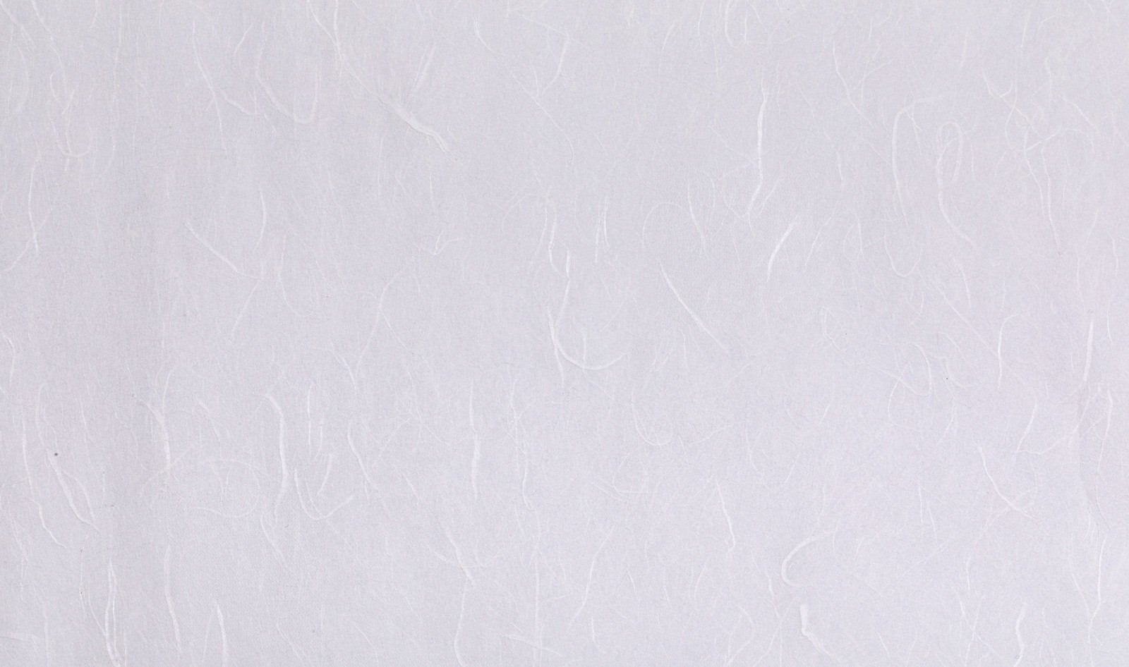 「白い繊維の和紙（テクスチャー）」の写真