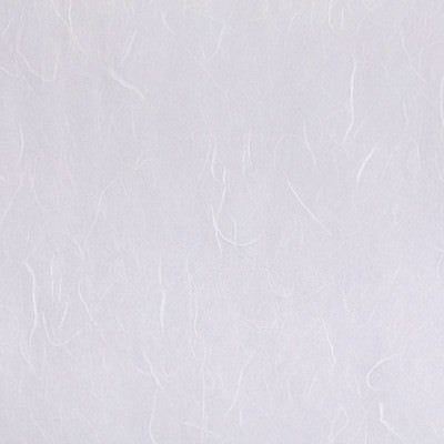 白い繊維の和紙（テクスチャー）の写真