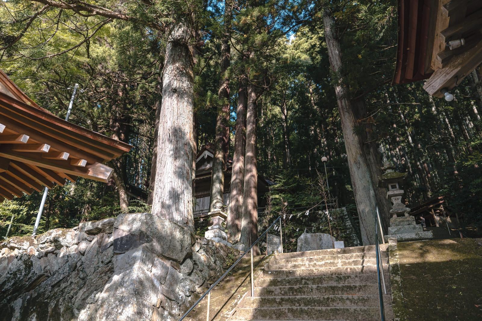 「古殿八幡神社境内の石段に落ちる木漏れ日」の写真