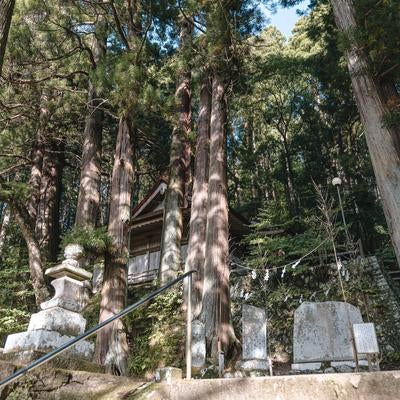 木漏れ日に包まれた静寂の中の古殿八幡神社の写真