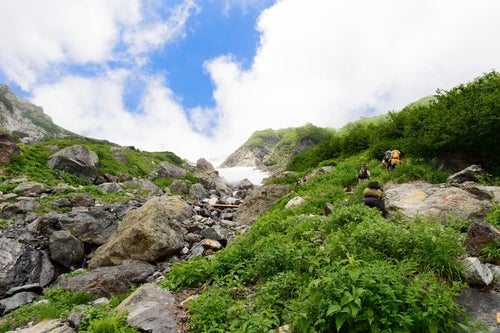 大雪渓を超えて白馬岳山頂を目指す登山者達の写真