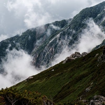 朝霧が経つ白馬連峰の写真