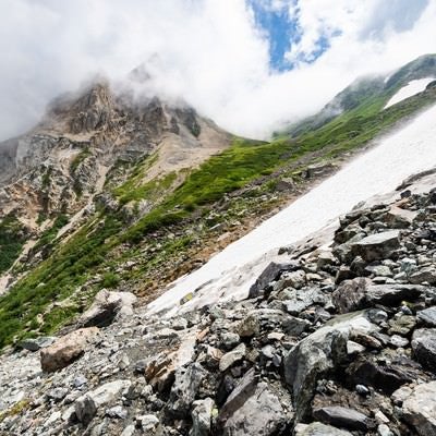 白馬大雪渓と荒々しい岩肌（白馬岳）の写真