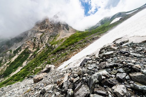 白馬大雪渓と荒々しい岩肌（白馬岳）の写真