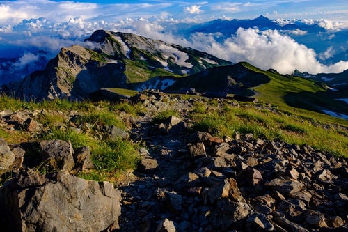 白馬岳稜線の登山道から見る白馬連峰と立山連峰の写真