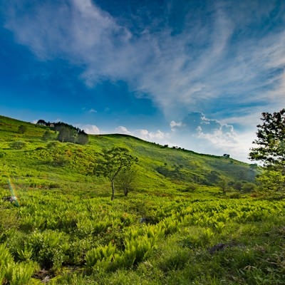 夏の霧ヶ峰高原（HDR）の写真