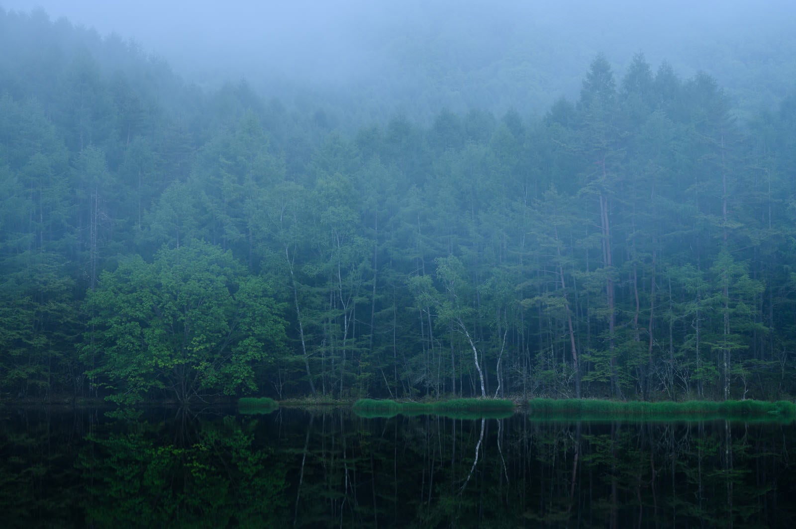 「霧と御射鹿池」の写真