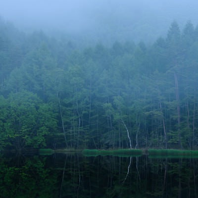 霧と御射鹿池の写真