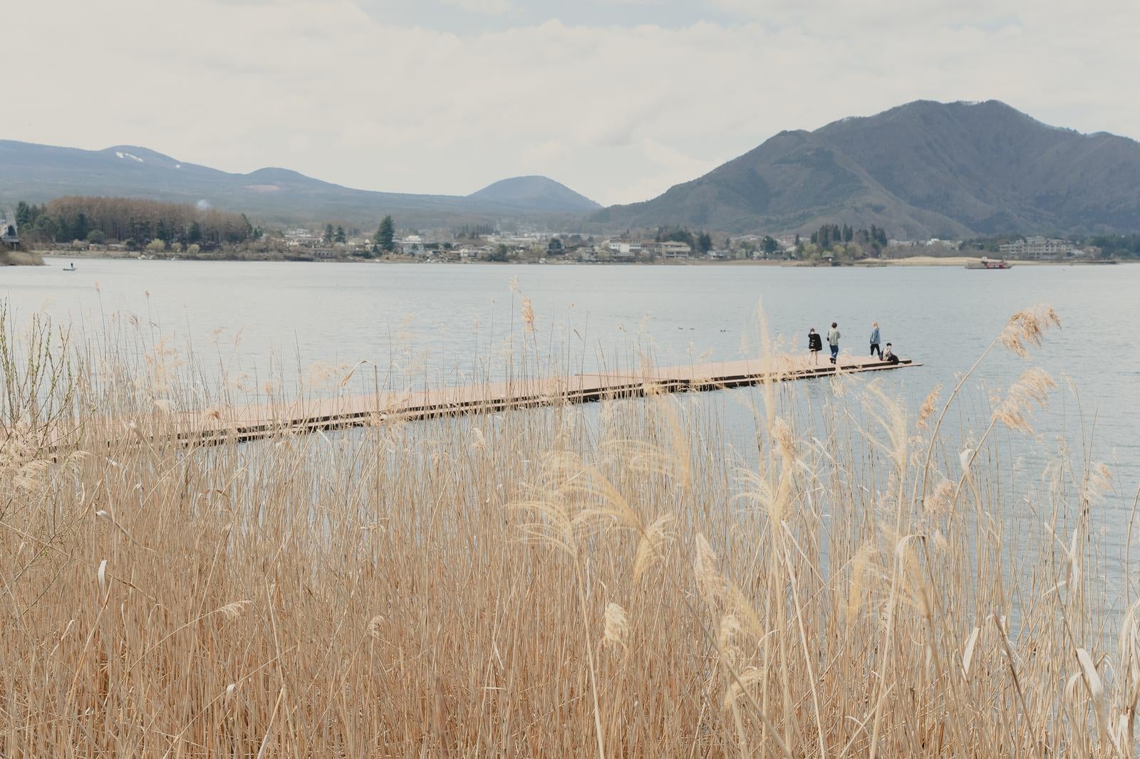 「ススキと湖の美しい風景 桟橋からの絶景スポット」の写真