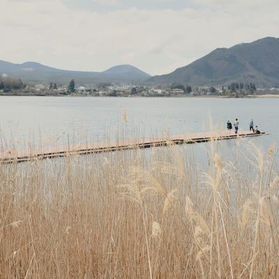 ススキと湖の美しい風景 桟橋からの絶景スポットの写真
