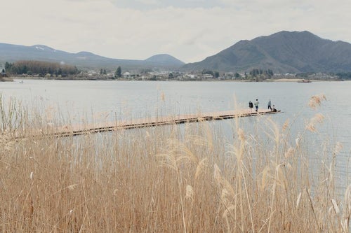 ススキと湖の美しい風景 桟橋からの絶景スポットの写真