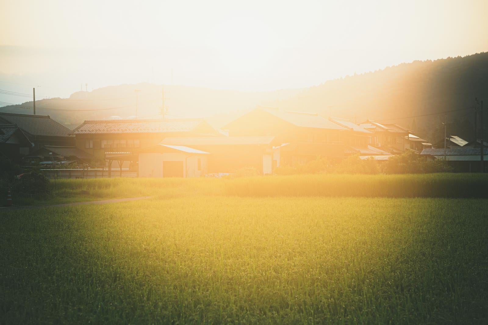 「柔らかな光に包まれる穏やかな田舎」の写真