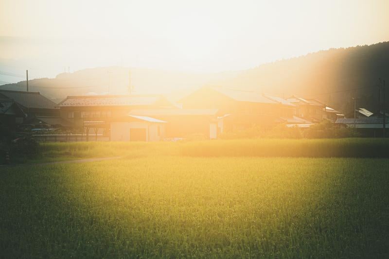 柔らかな光に包まれる穏やかな田舎の写真