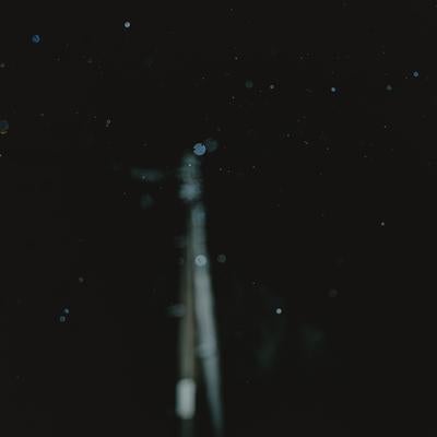 夜に舞う小雨の写真