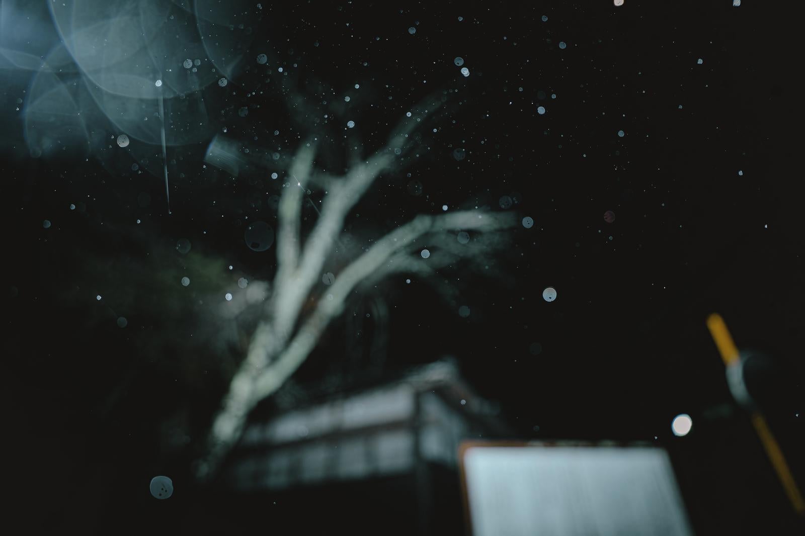 雨の降る夜に光の粒子が舞い、木の枝と家屋がぼんやりと見える暗い住宅街