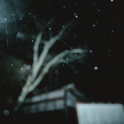 雨降る夜の闇にぼんやりと浮かぶ木の枝と家屋の写真