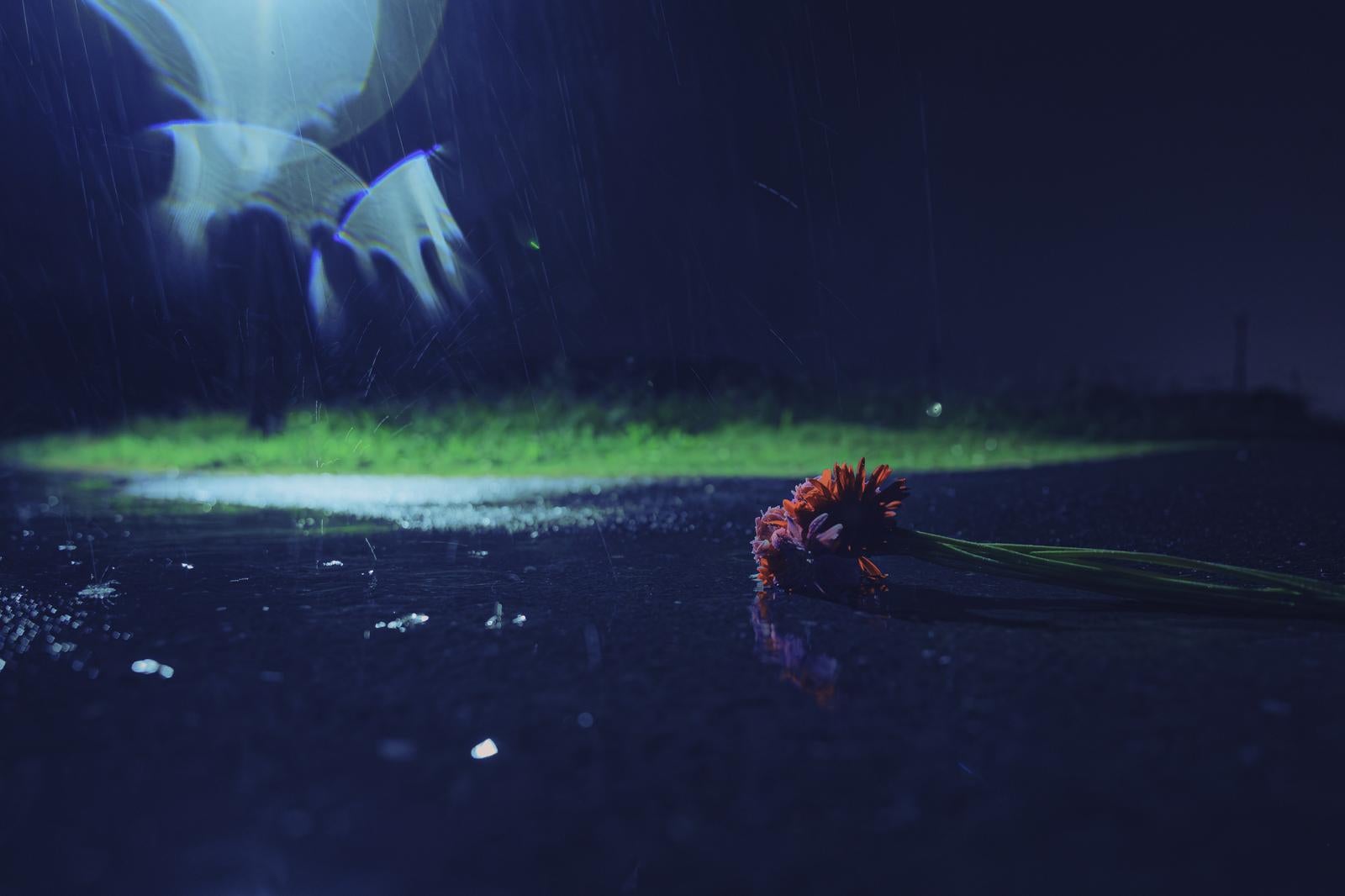 夜間の濡れた道路に落ちた赤い花と水たまりと街灯の光の反射