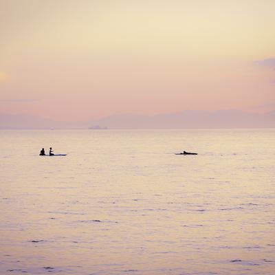 夕暮れに染まる静かな海上とSUPやサーファーのシルエットの写真