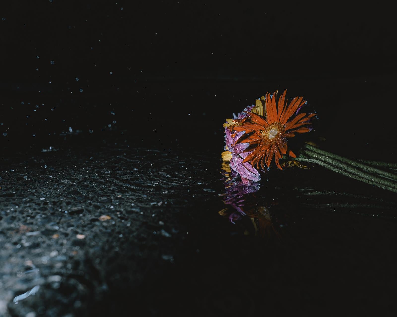 水溜まりに反射するオレンジのガーベラと紫の花からなる花束