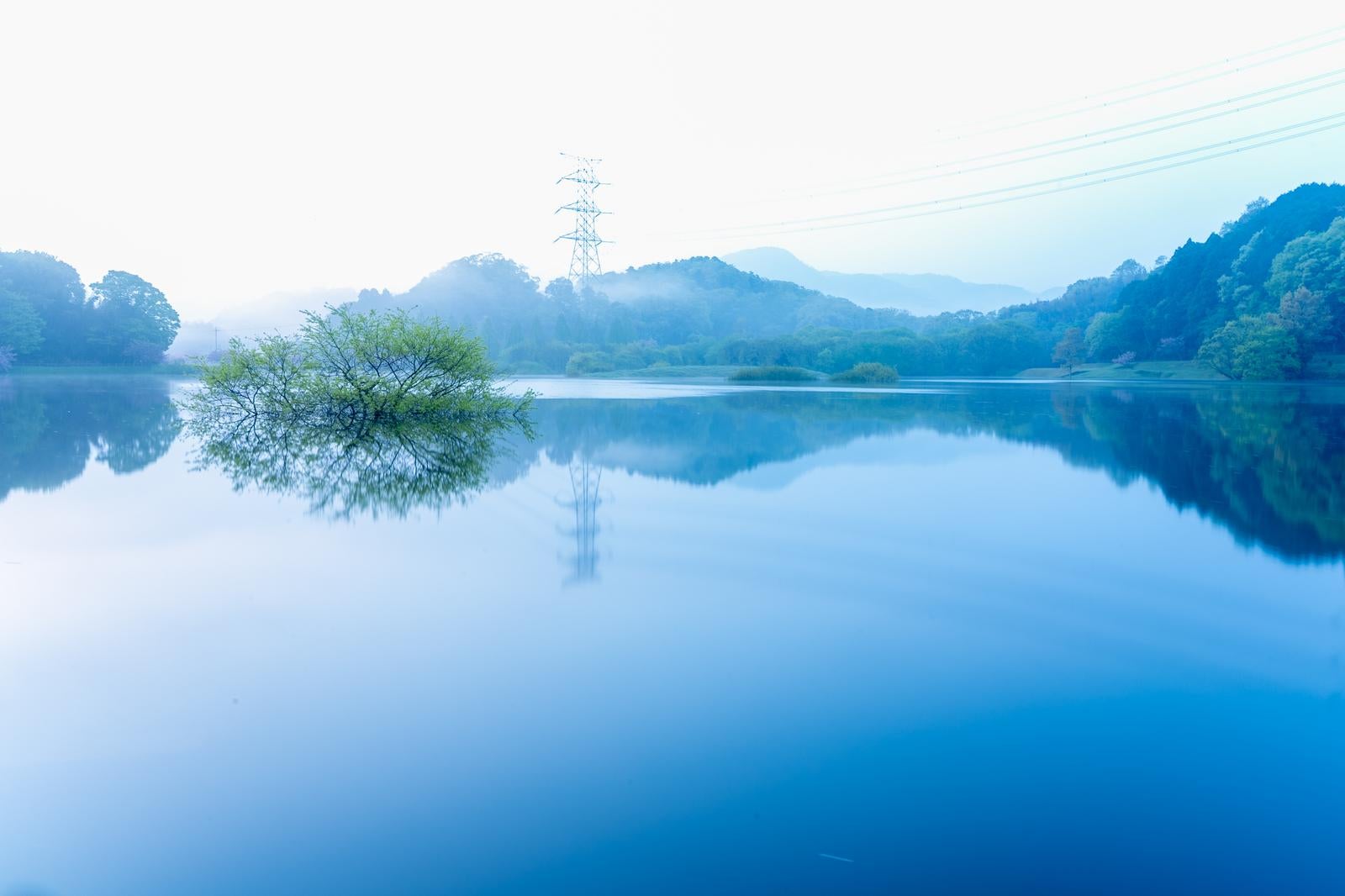 「朝霧と日野川ダム」の写真