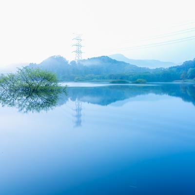 朝霧と日野川ダムの写真